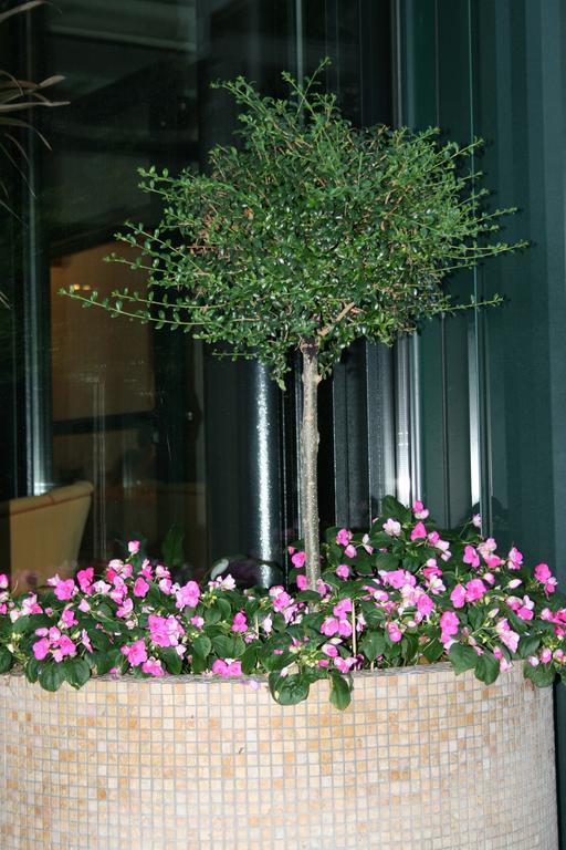 Hotel La Perla Roseto Degli Abruzzi Buitenkant foto